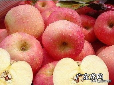 从去年吃不起的苹果！再到今年的苹果滞销！当今苹果为何滞销，果农是否应该继续种植呢？