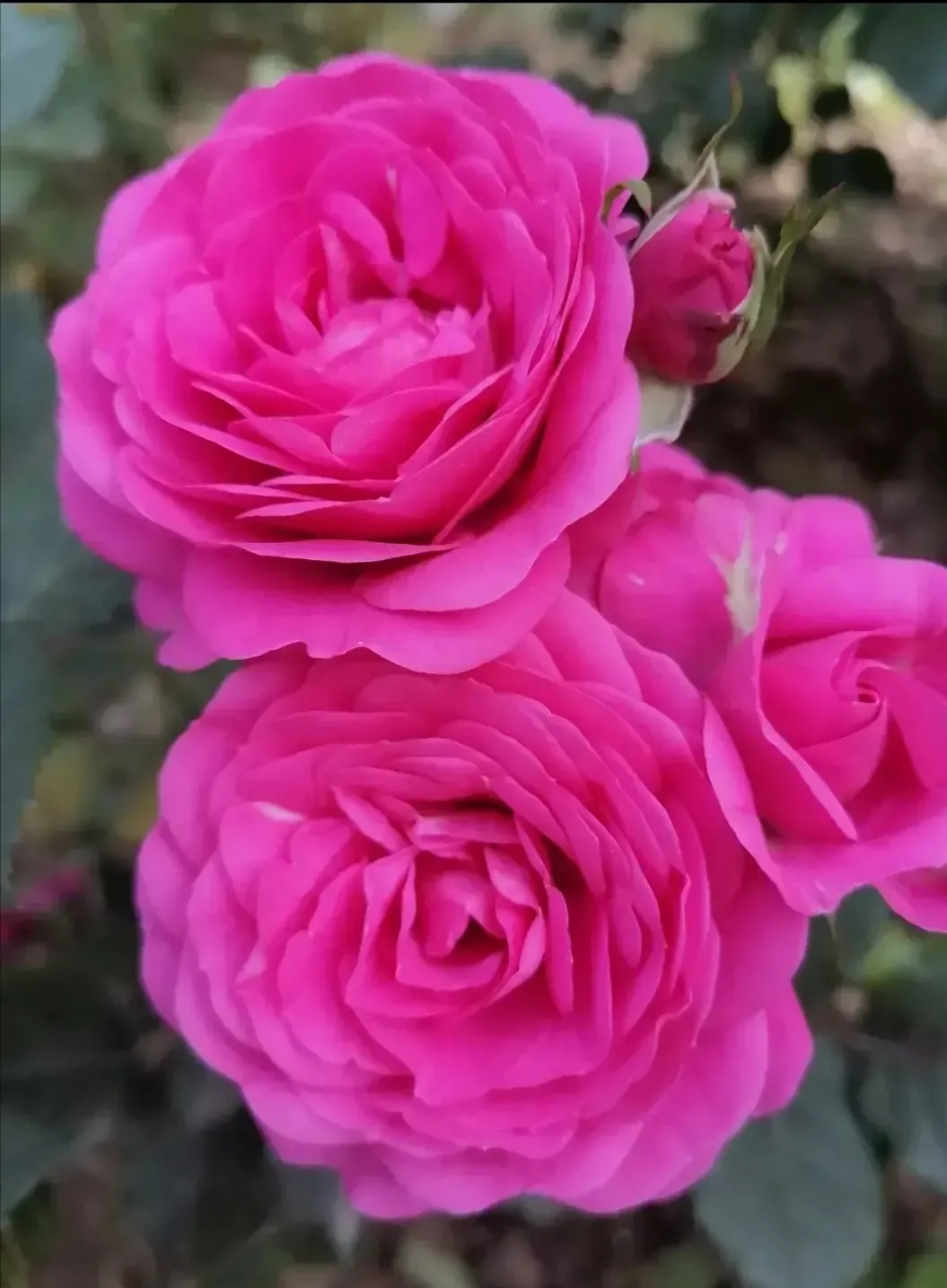 和老婆形同陌路,我是否要苦苦支撑没有幸福的家庭?