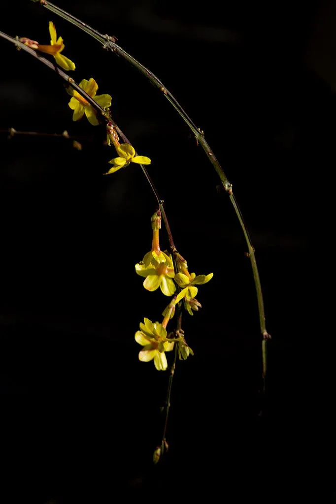你见过60岁的女人最悲哀的生活状态是什么样子?