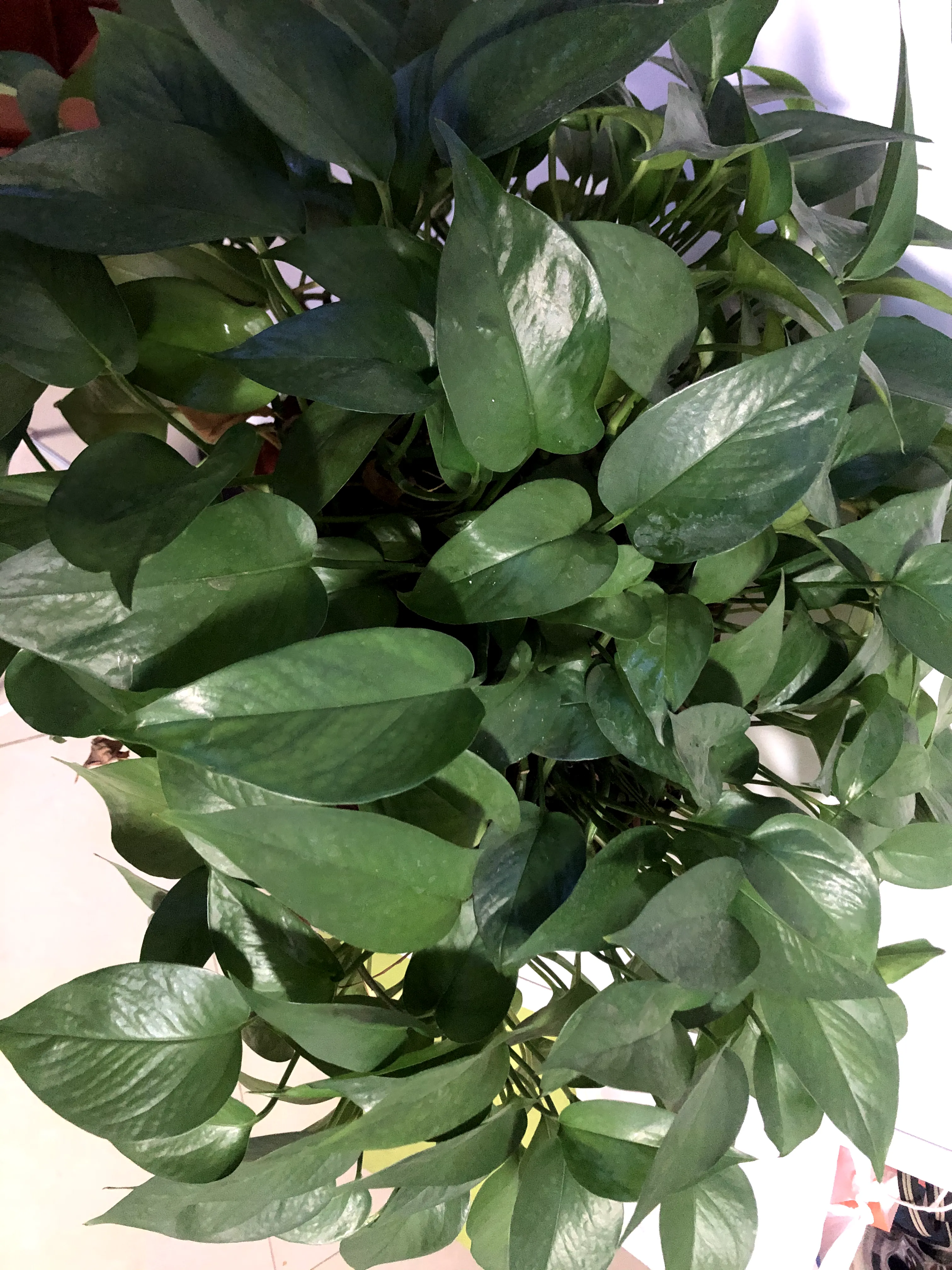 你见过60岁的女人最悲哀的生活状态是什么样子?