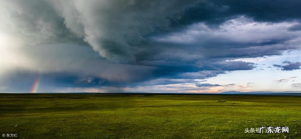 利令智昏什么意思 利令智昏的近义词