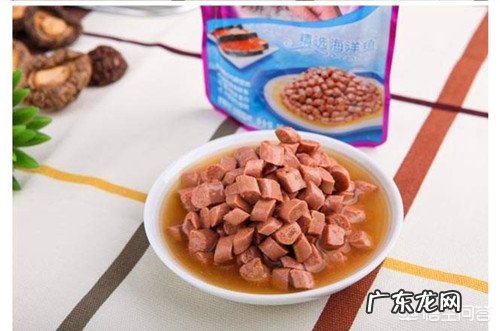 喜马拉雅猫的感冒会传染吗?