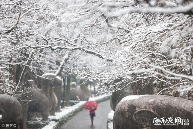 哪些地方的雪景很美?