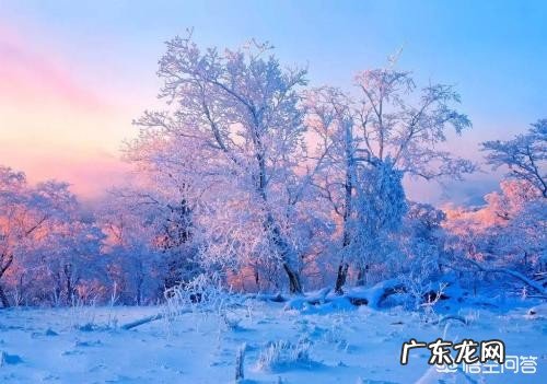 哪些地方的雪景很美?