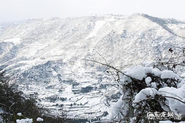 哪些地方的雪景很美？