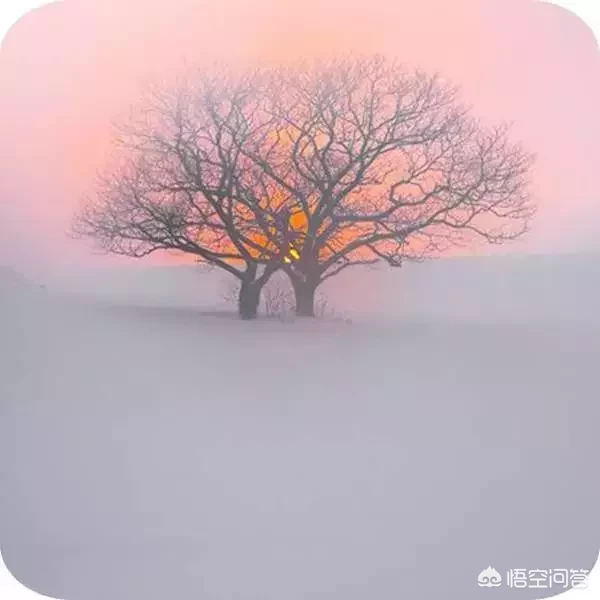 哪些地方的雪景很美?