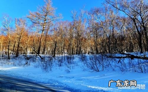 哪些地方的雪景很美?