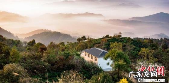 大别山区是指安徽的什么地方呢 安徽大别山在哪个省哪个市哪个区