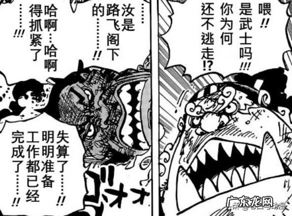 草帽海贼团成员加入顺序 草帽海贼团第十人