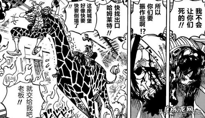 草帽海贼团成员加入顺序 草帽海贼团第十人