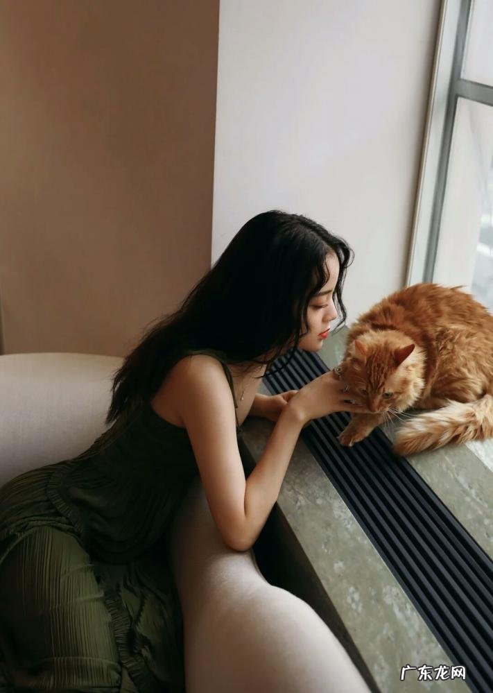 两心若是久长时,又岂在朝朝暮暮的意思 什么若是长久时,又岂在朝朝暮暮