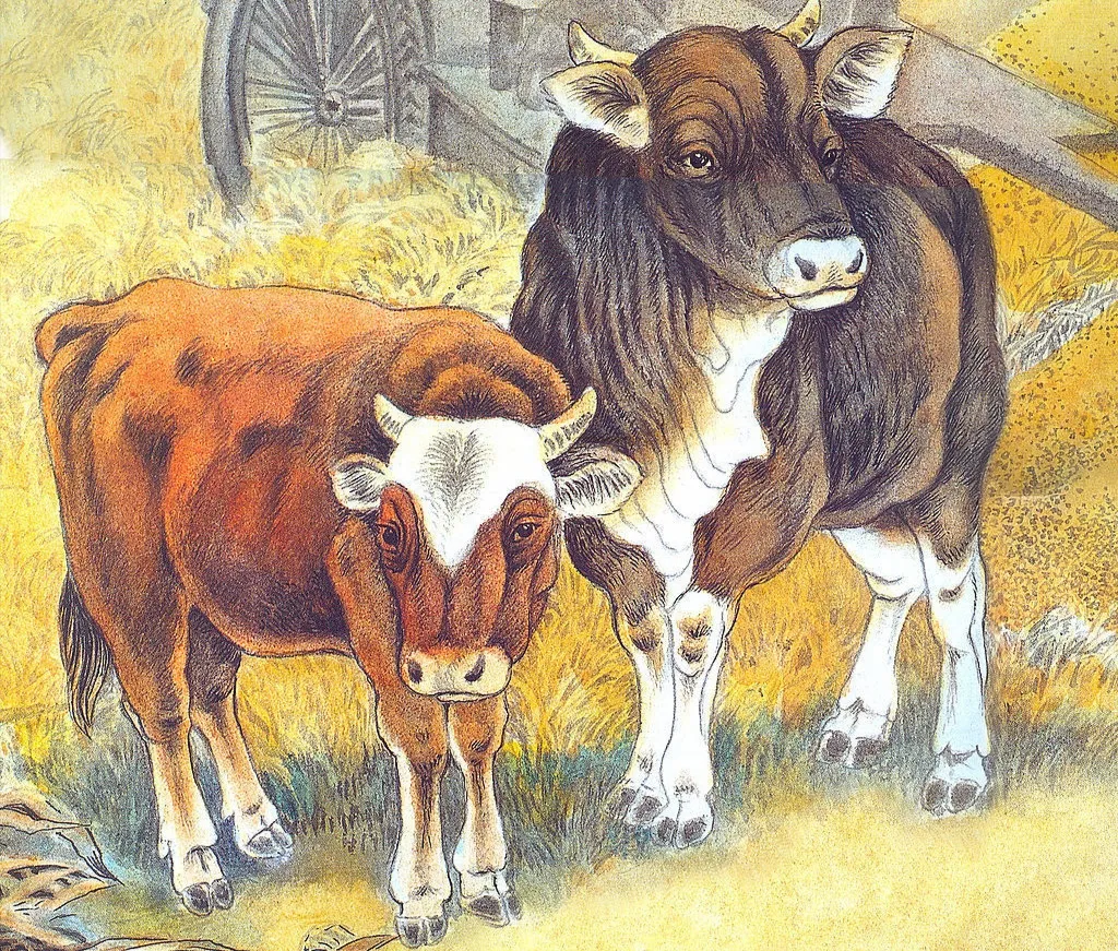 十二生肖哪个生肖脾气最好?