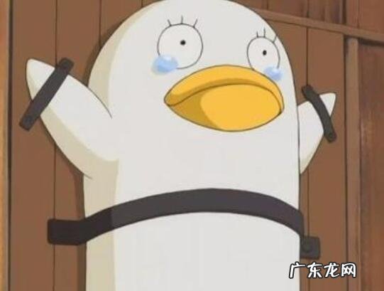 废物的十大特征 废物的十大特征是什么