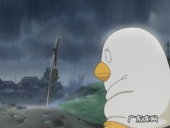 废物的十大特征 废物的十大特征是什么