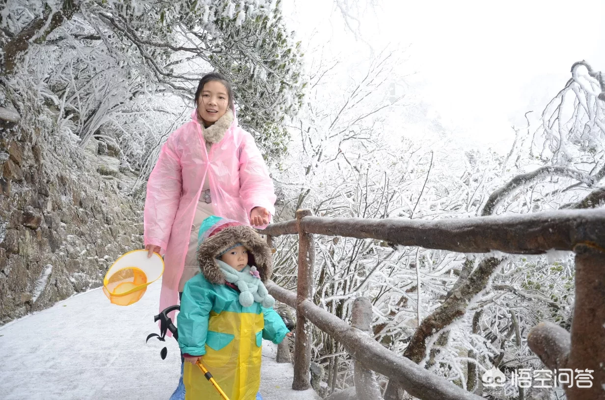 你去过黄山了吗?说一段有趣的见闻?