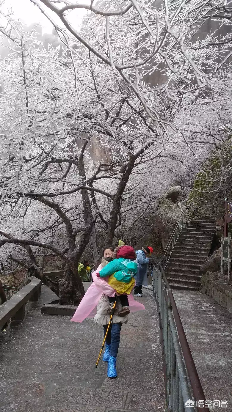 你去过黄山了吗?说一段有趣的见闻?