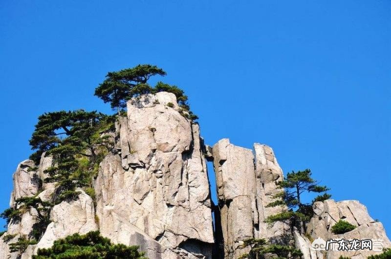 你去过黄山了吗?说一段有趣的见闻?