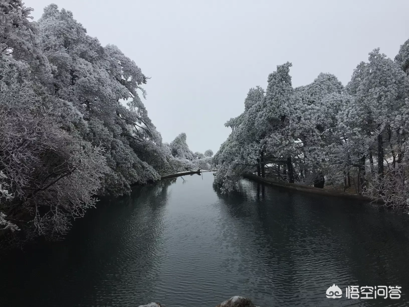你去过黄山了吗?说一段有趣的见闻?