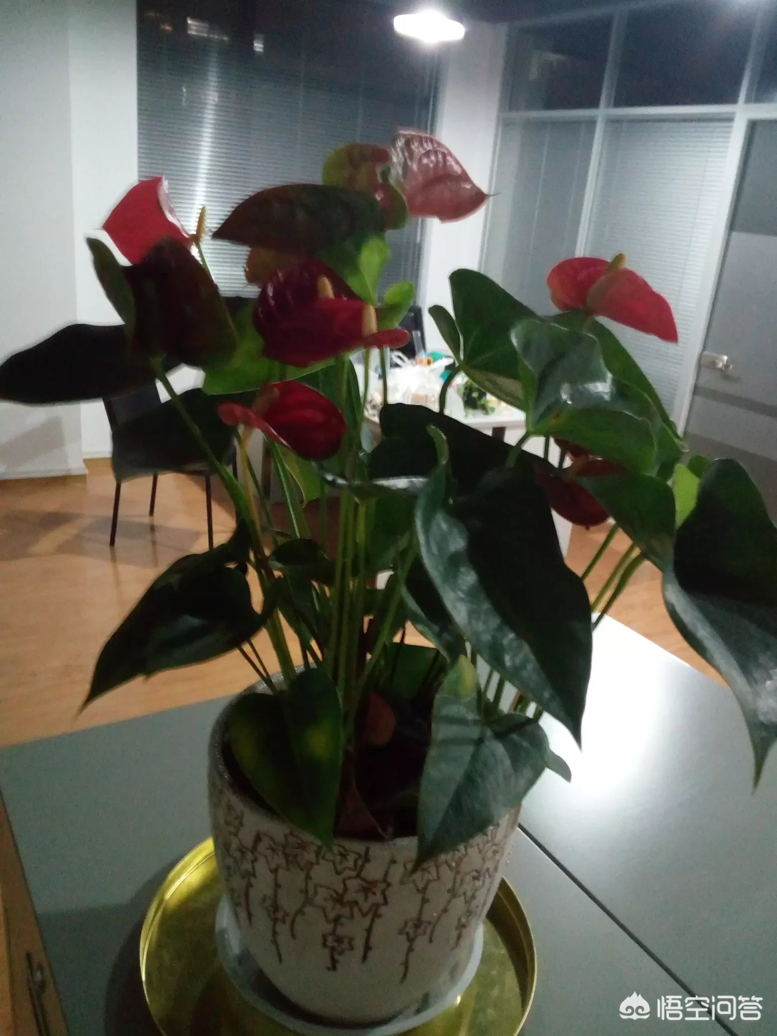 你见过哪些脾气非常好的人?他们的脾气到底有多好?