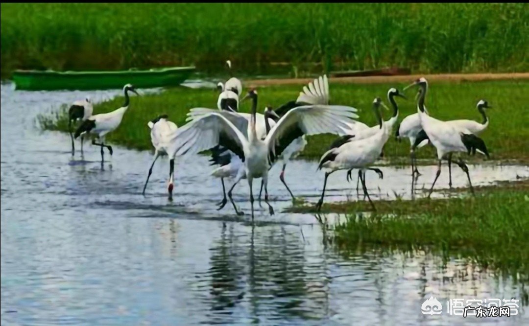 一家老小适合暑期去哪里度假?