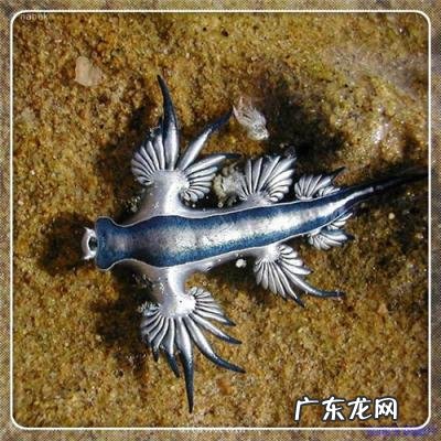 北航工程硕士分数线,北航工程管理硕士学费