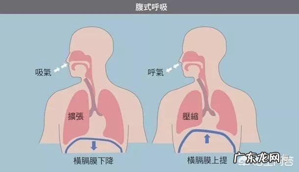 不会腹式呼吸的人要如何学会腹式呼吸?