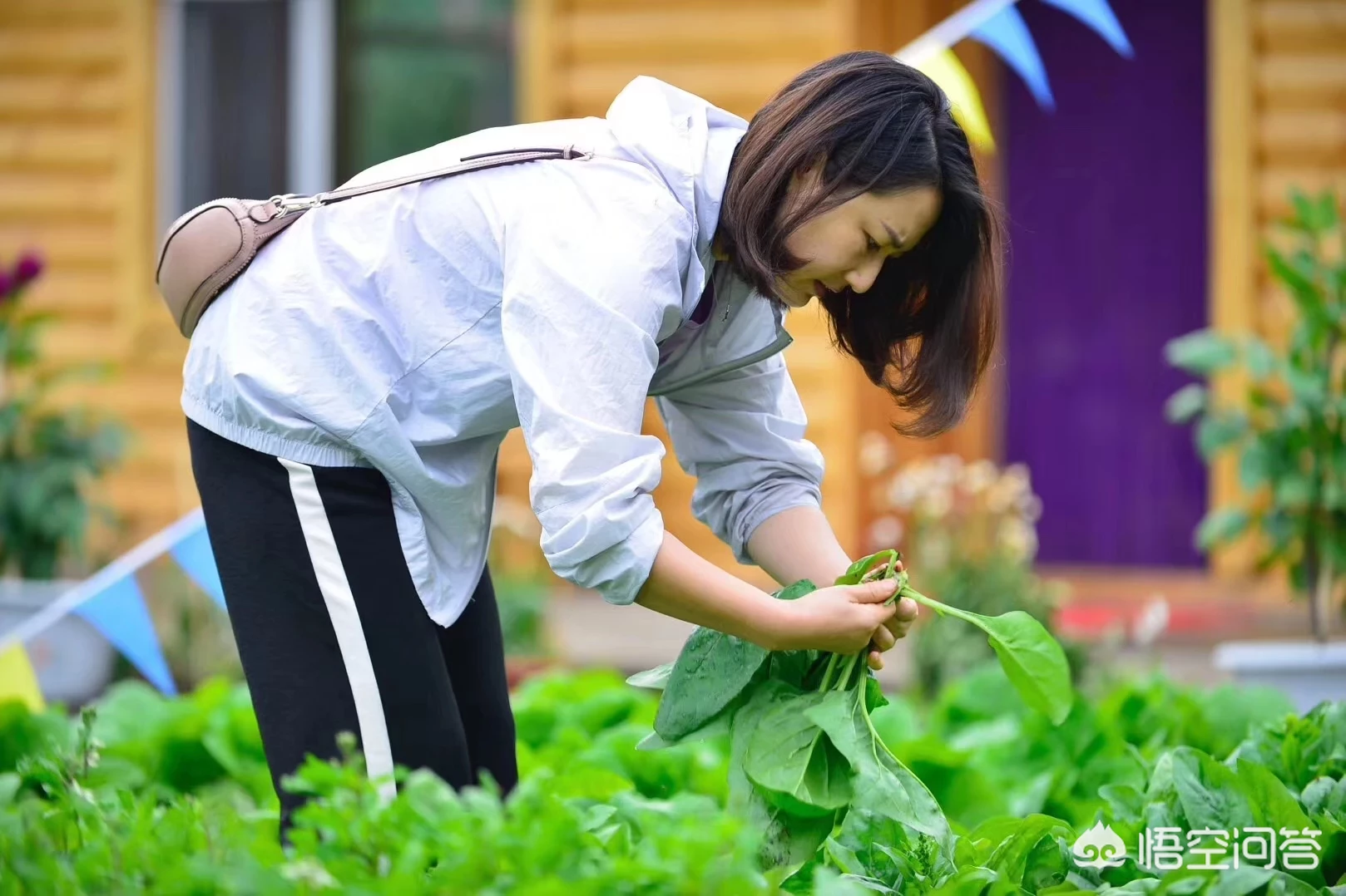 去呼伦贝尔草原哪里可以拍到正宗的草原照片?