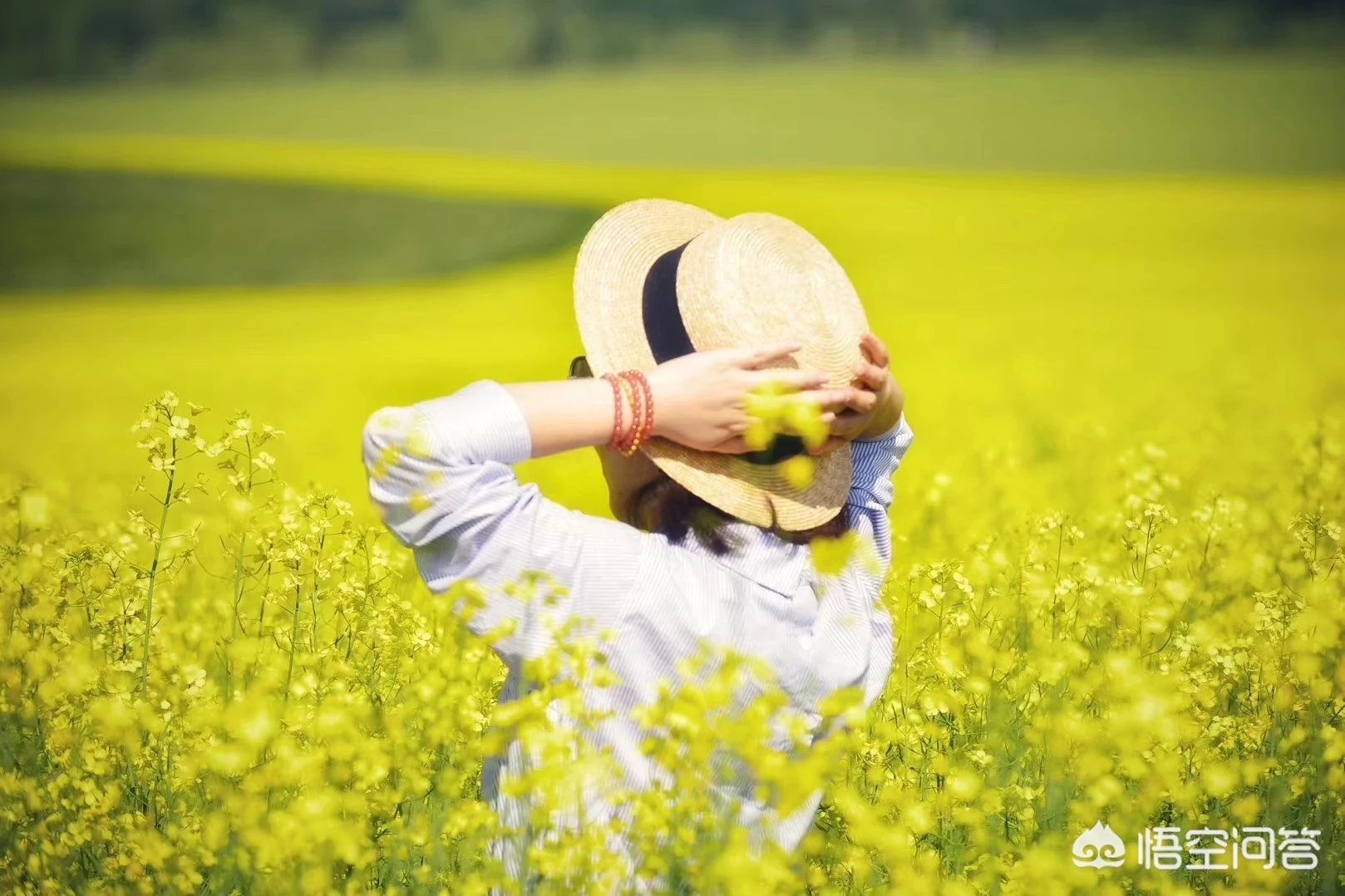 去呼伦贝尔草原哪里可以拍到正宗的草原照片?