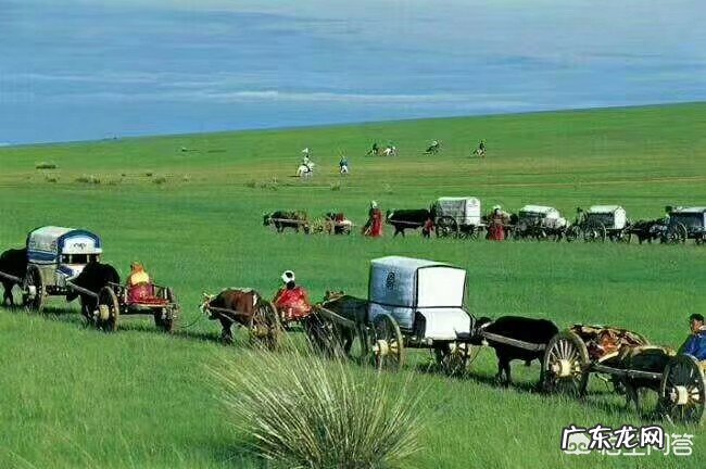 去呼伦贝尔草原哪里可以拍到正宗的草原照片?