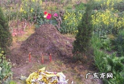 坟墓地气旺的表现 坟墓地气旺的表现是