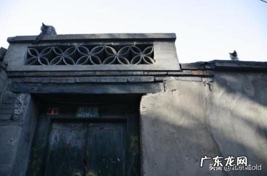 胡同里有只猫 什么意思 歌词巷口的那只猫