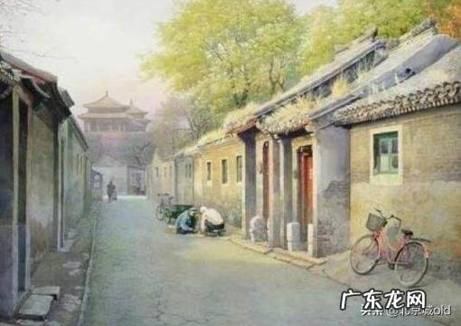 胡同里有只猫 什么意思 歌词巷口的那只猫