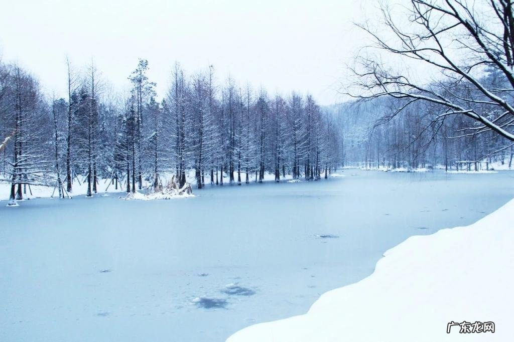 蓦然回首的意思是什么 蓦然回首,岁月如流