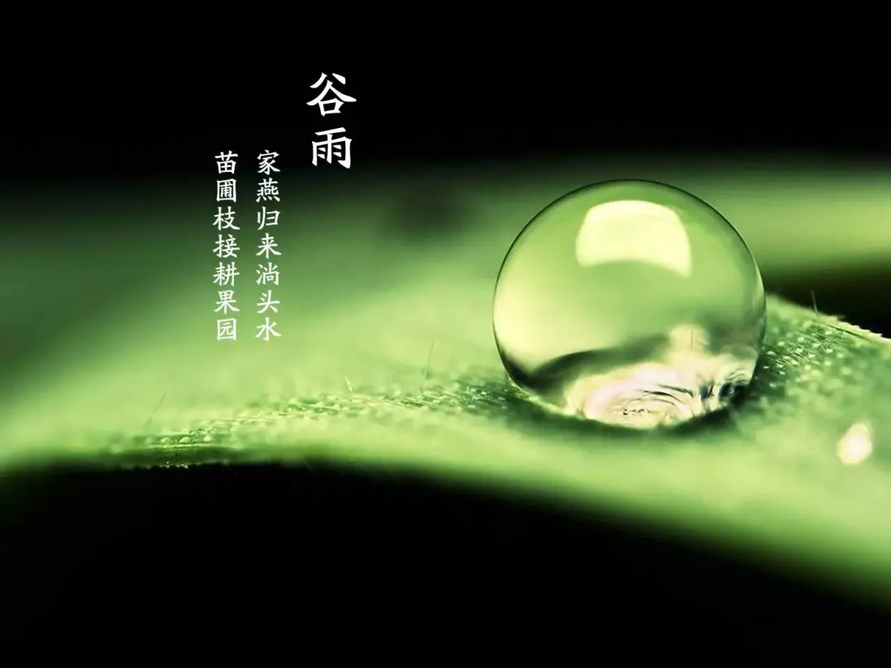 “谷雨到,布谷叫,前三天叫干,后三天叫淹”,是什么意思?