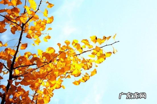 调侃天气冷的段子 吐槽天气冷的幽默段子2021