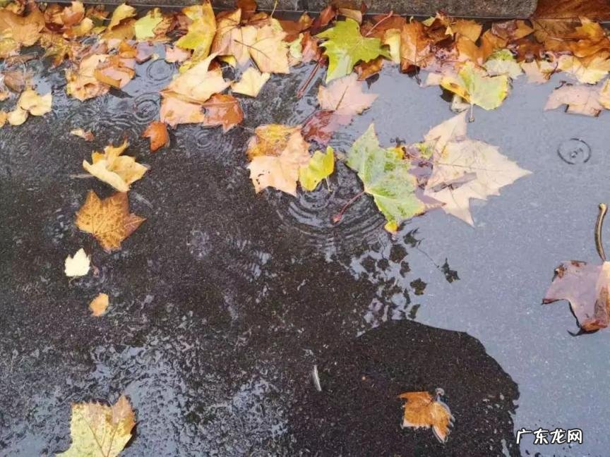 调侃天气冷的段子 吐槽天气冷的幽默段子2021