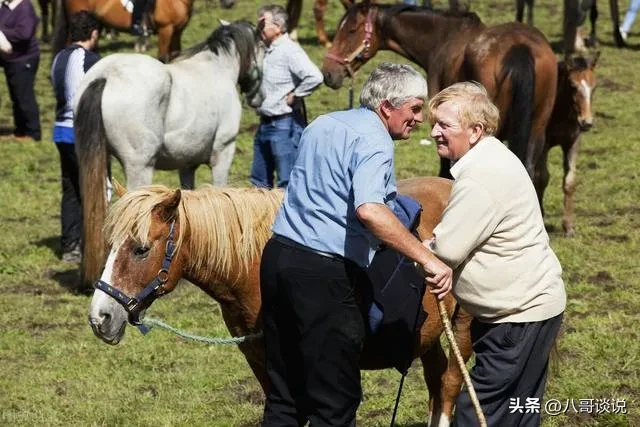 凭借1万人民币在爱尔兰可以生活多久?