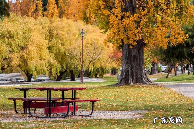 凭借1万人民币在爱尔兰可以生活多久？