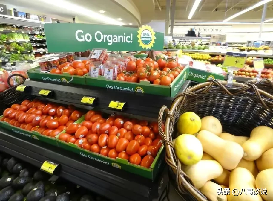 凭借1万人民币在爱尔兰可以生活多久？