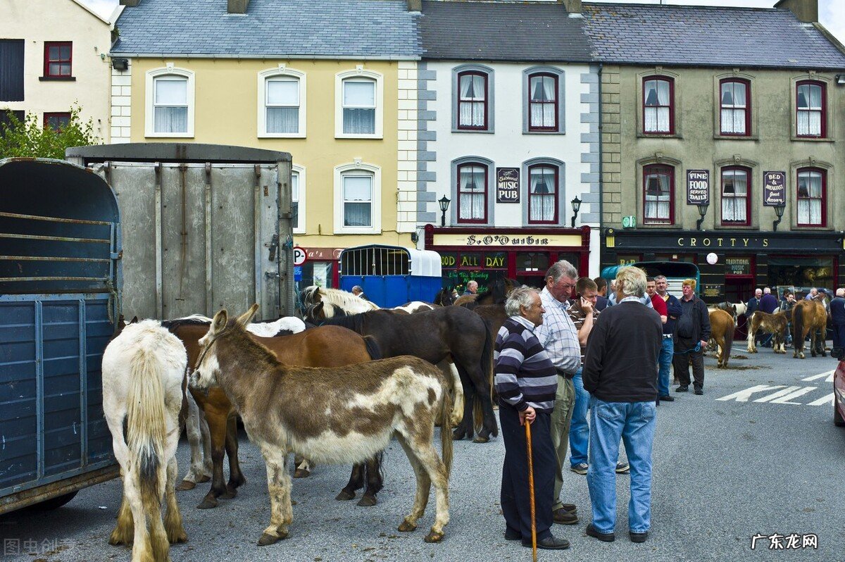 凭借1万人民币在爱尔兰可以生活多久?