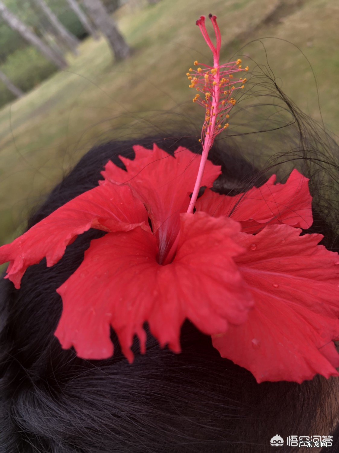 什么是胃火?有什么需要注意的?