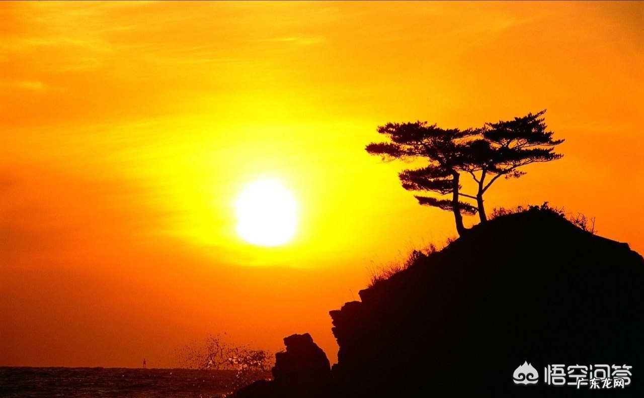 哪句古诗能用来表达感恩之情?