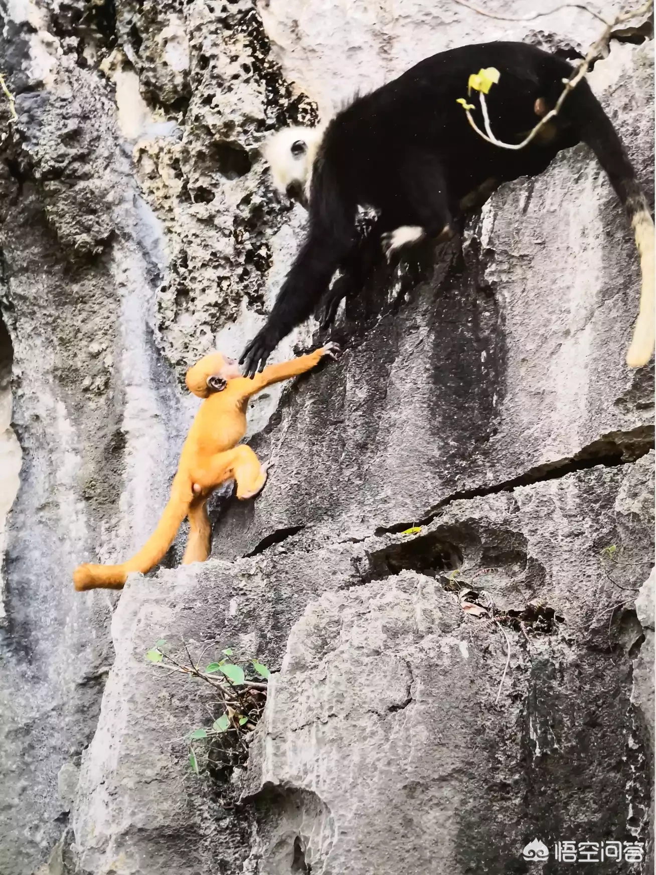 哪句古诗能用来表达感恩之情?