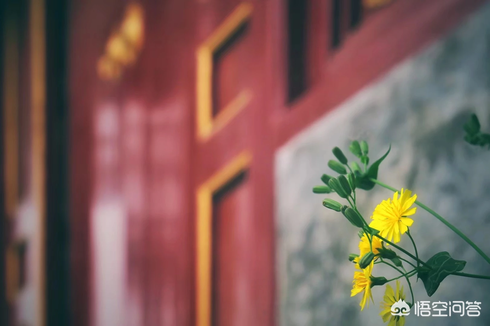 哪句古诗能用来表达感恩之情？