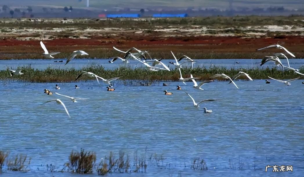 洱海的意思是什么 什么叫洱海
