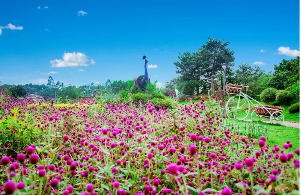 哪里有花海景点？