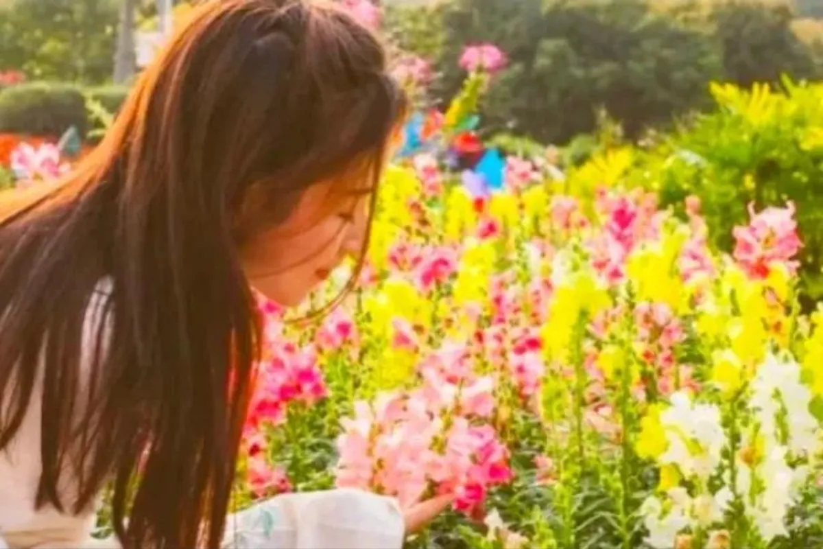 哪里有花海景点？