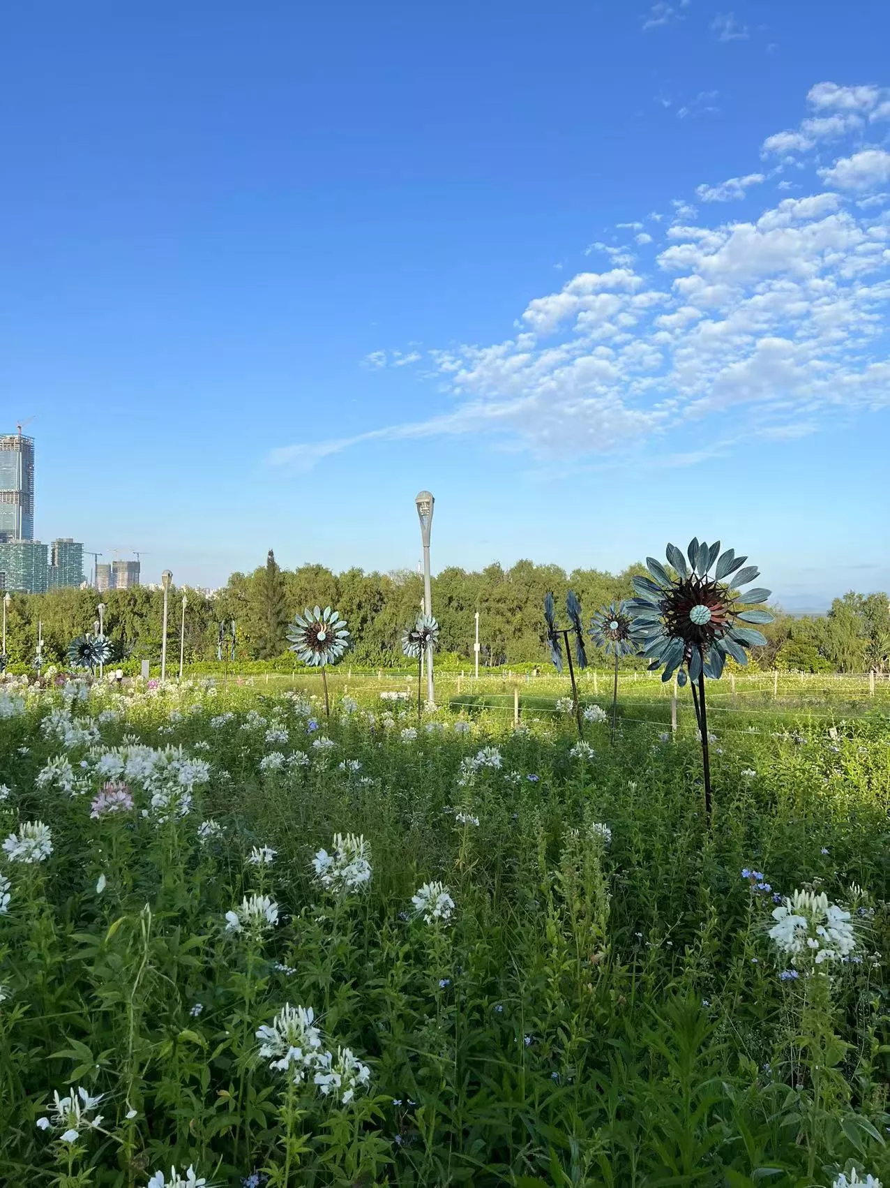 哪里有花海景点？