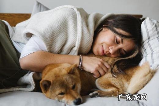 梦见大蛇财运方面好不好 梦见蛇有巨大财运好不好