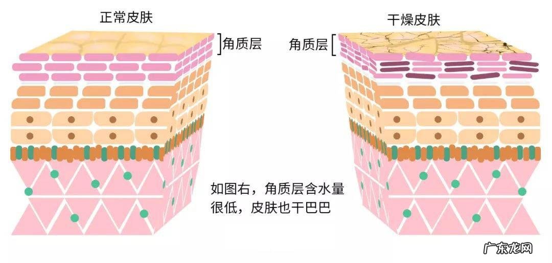 步入秋季后,护肤应该做出什么调整?